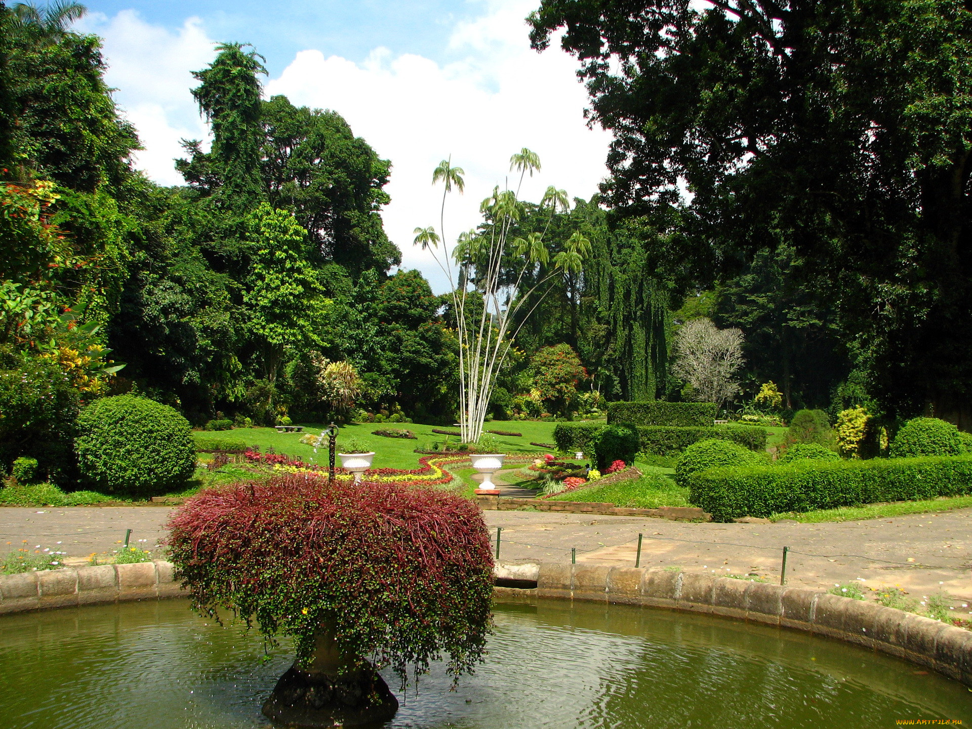 , , kandy, botanical, garden, sri, lanka